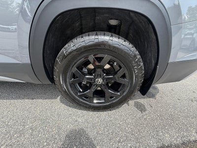 2026 Volkswagen Atlas Peak Edition