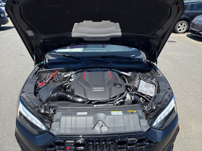 2024 Audi S5 Sportback Premium Plus